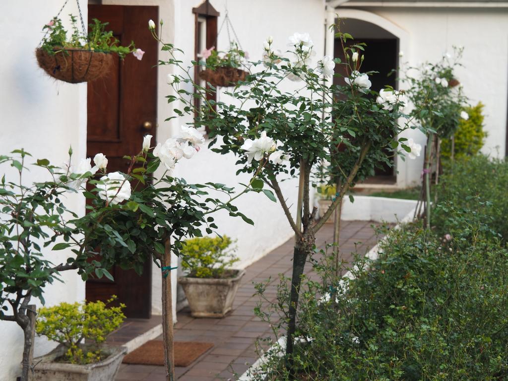 Caladdi Bed And Breakfast Durban Exteriér fotografie