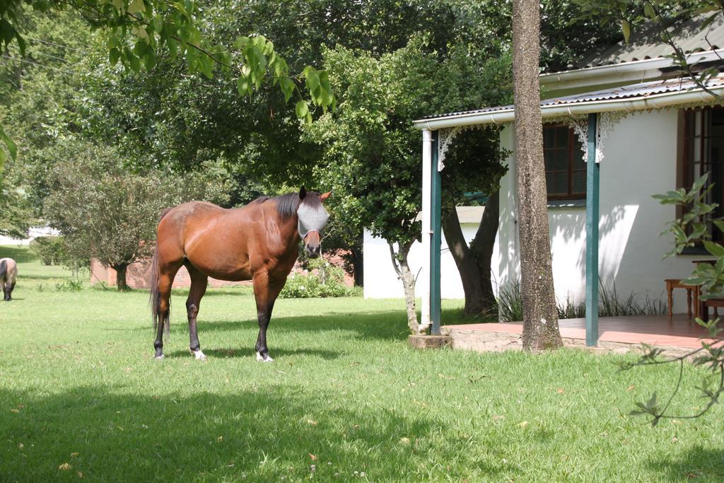 Caladdi Bed And Breakfast Durban Exteriér fotografie