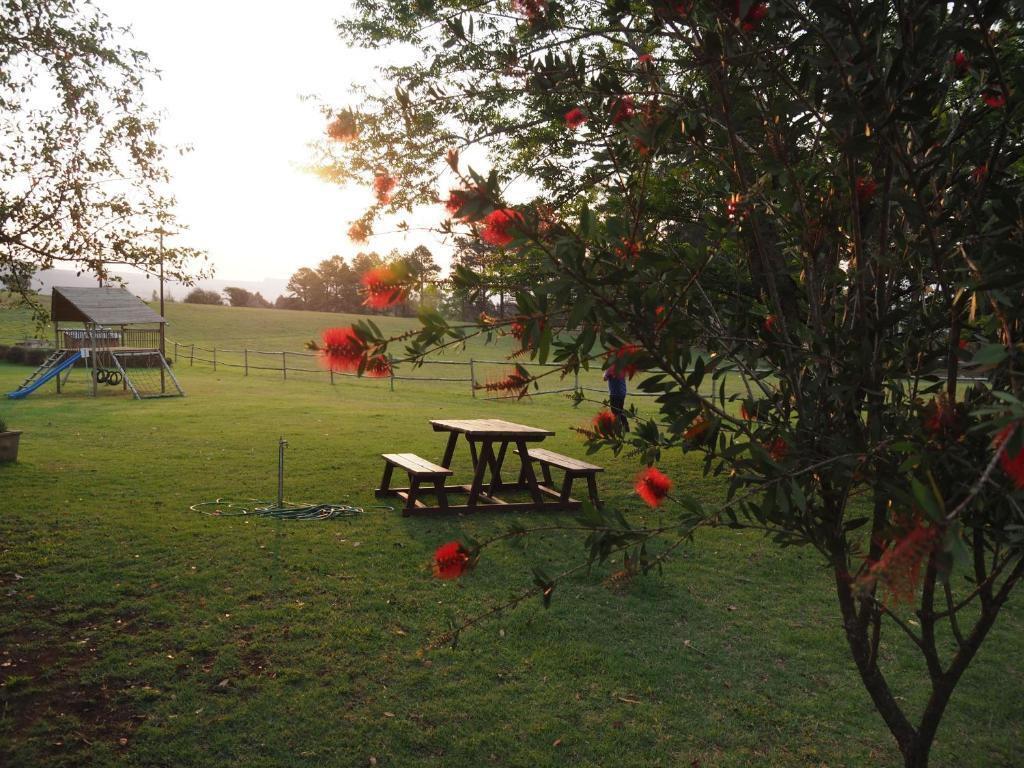 Caladdi Bed And Breakfast Durban Exteriér fotografie